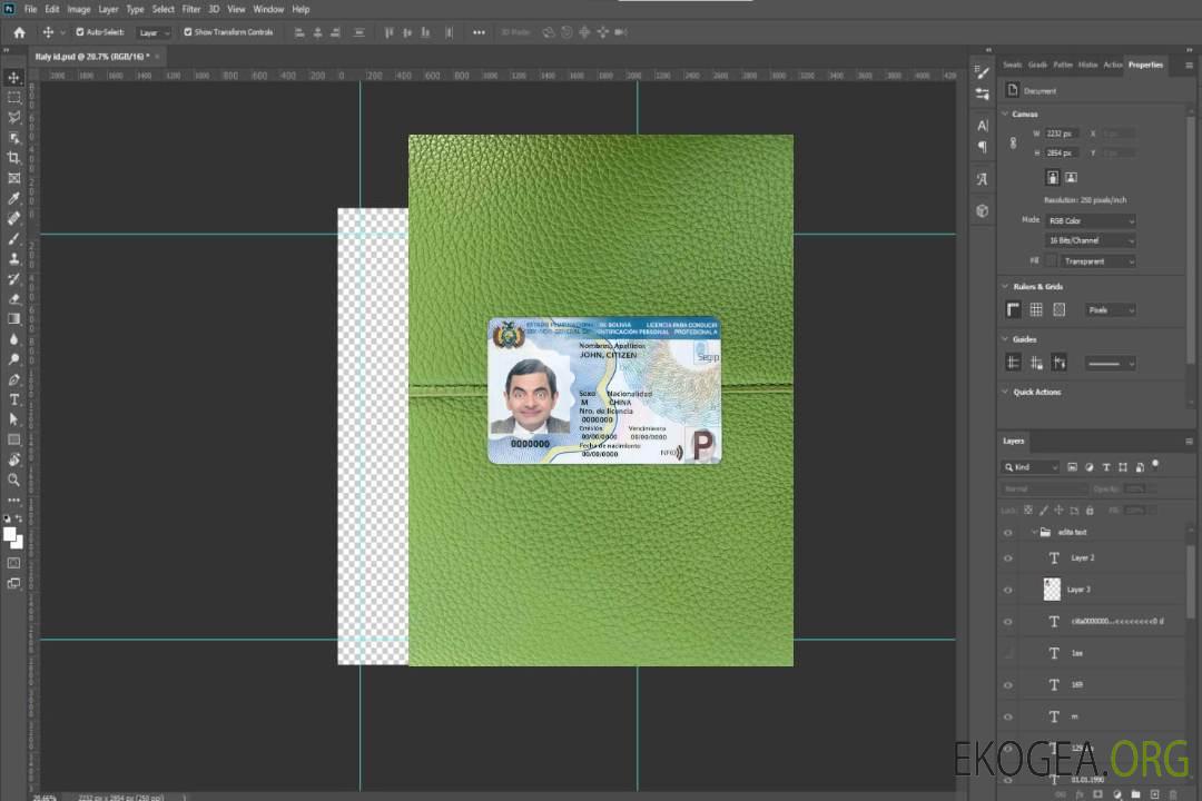 Modèle de permis de conduire bolivien (2017 – présent) photolook DEVANT template